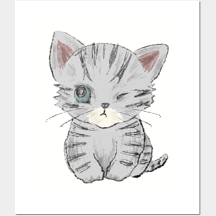 Winking American Shorthair Posters and Art